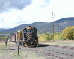 Local at South Fork switching cars