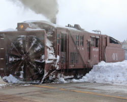 And we're through!  OY breaks through the snow to cross Highway 17.