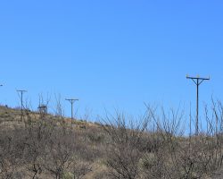The line going up the hill off School Terrace Road towards a switching frame at the top. Four poles, 11 insulators.