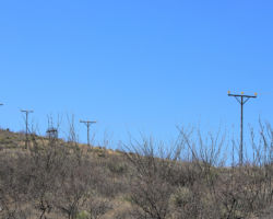 The line going up the hill off School Terrace Road towards a switching frame at the top. Four poles, 11 insulators.