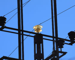 A single Pyrex 701 glows in the morning sun on the junction pole to the Saginaw shaft.