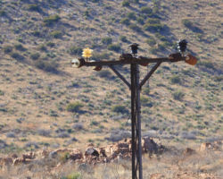 On the other side of Cochise Row, near the old EP&SW grade is this 331. The upper and lower skirts are severely broken.