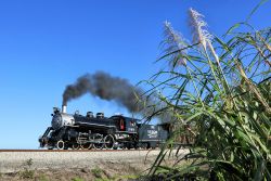 US Sugar 148 at work in the south Florida cane fields.
