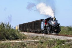Approaching the Miami Canal through the cane fields