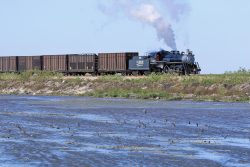 148 and train stir up dozens of waterbirds just west of the Okeelanta mill