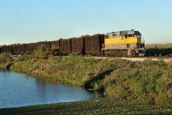 The cane train that was coming up behind us rolls into Clewiston a few minutes after we get back.