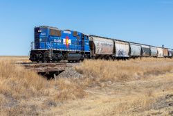 The line isn't all that scenic, so any trestle provides a little visual interest - and a break in the weeds.