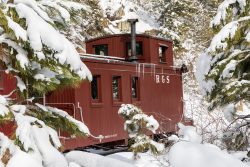 My artsy RGS 0404 shot for the day