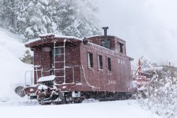 In my artsy caboose shot of the day, RGS 0404 at Tefft