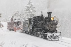 This... might be my Christmas card next year