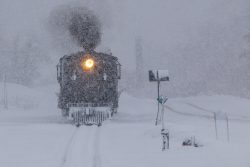How Wednesday started - with nearly a foot of new snow and still coming down hard at Rockwood