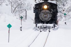 Arriving back in Rockwood, the snow had mostly stopped