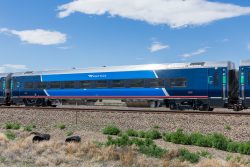 Coach AMTK 74026